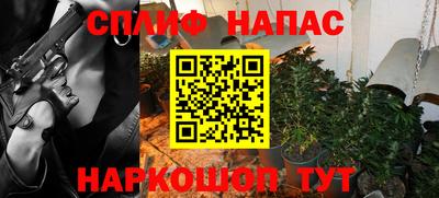 стаф Бузулук