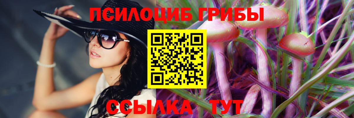 Семилуки  Псилоцибиновые грибы MAGIC MUSHROOMS  Галлюциногенные грибы Magic Shrooms  Вход с VPN 